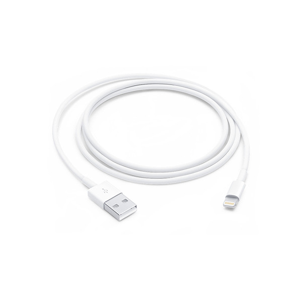 Apple Lightning to USB Cable